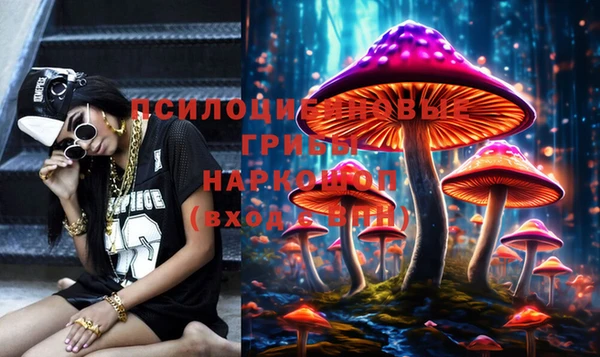 стафф Алексеевка
